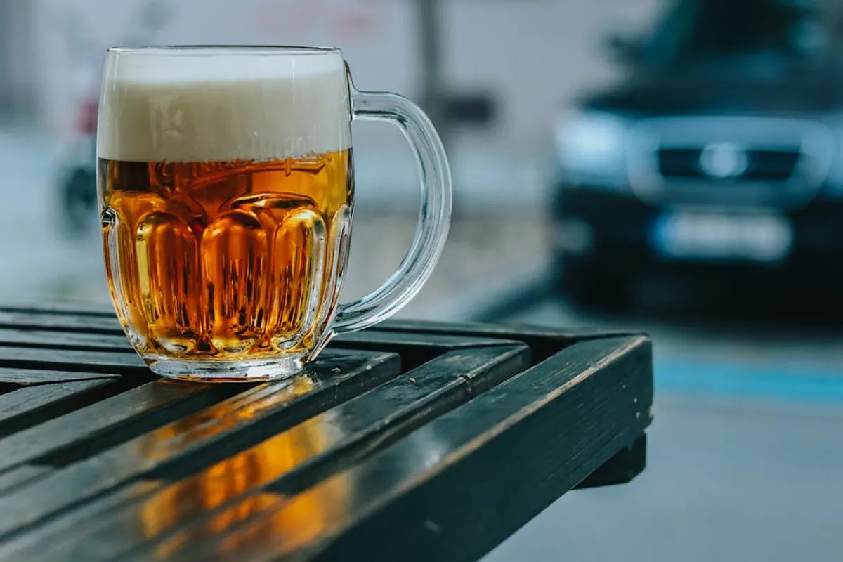 Best Pilsner Beer: Menu, Prices, Guide, and What to Know